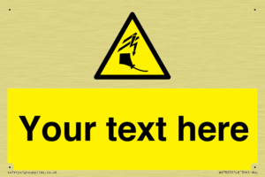 Custom warning kite flying near powerlines